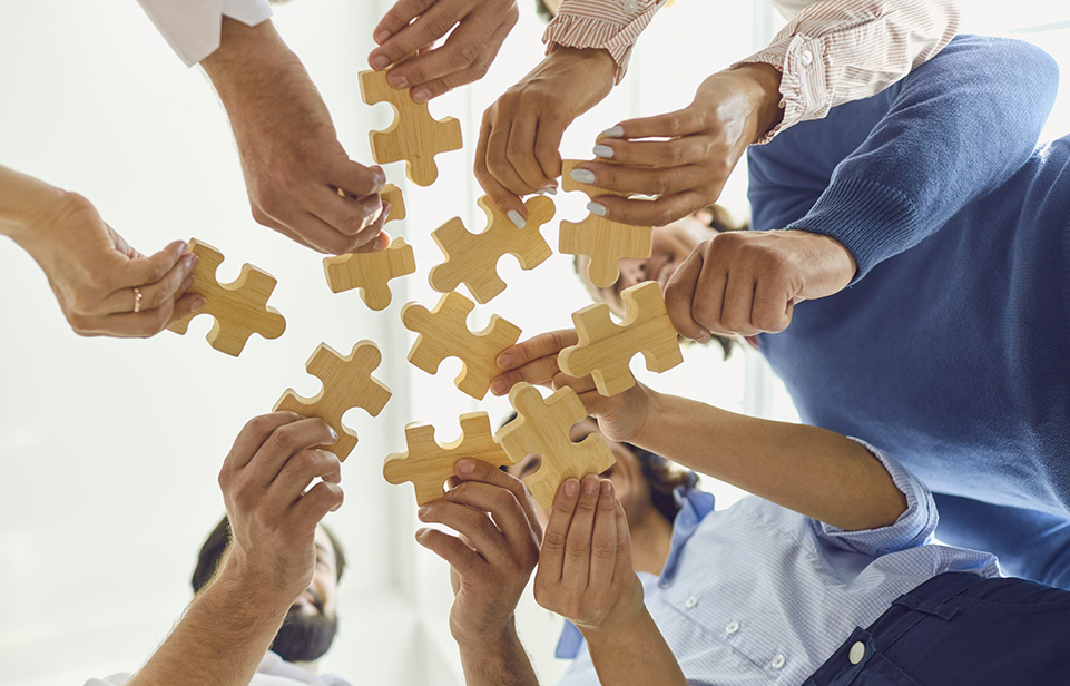 জেনিচি হোম অ্যান্ড লাইফ এসেনশিয়ালস