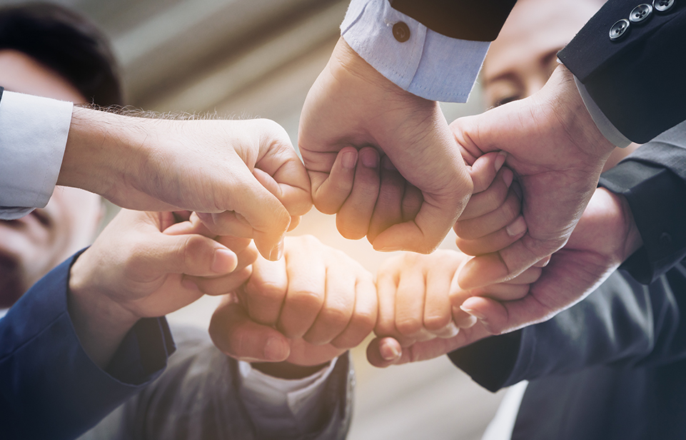 জেনিচি হোম অ্যান্ড লাইফ এসেনশিয়ালস